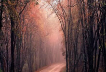 leyu乐鱼体育中国-德甲烽烟再起！尤文折戟争议之战，阿莱格里帅位风雨飘摇