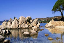 乐鱼app-巴塞罗那强势击败对手，保住胜局