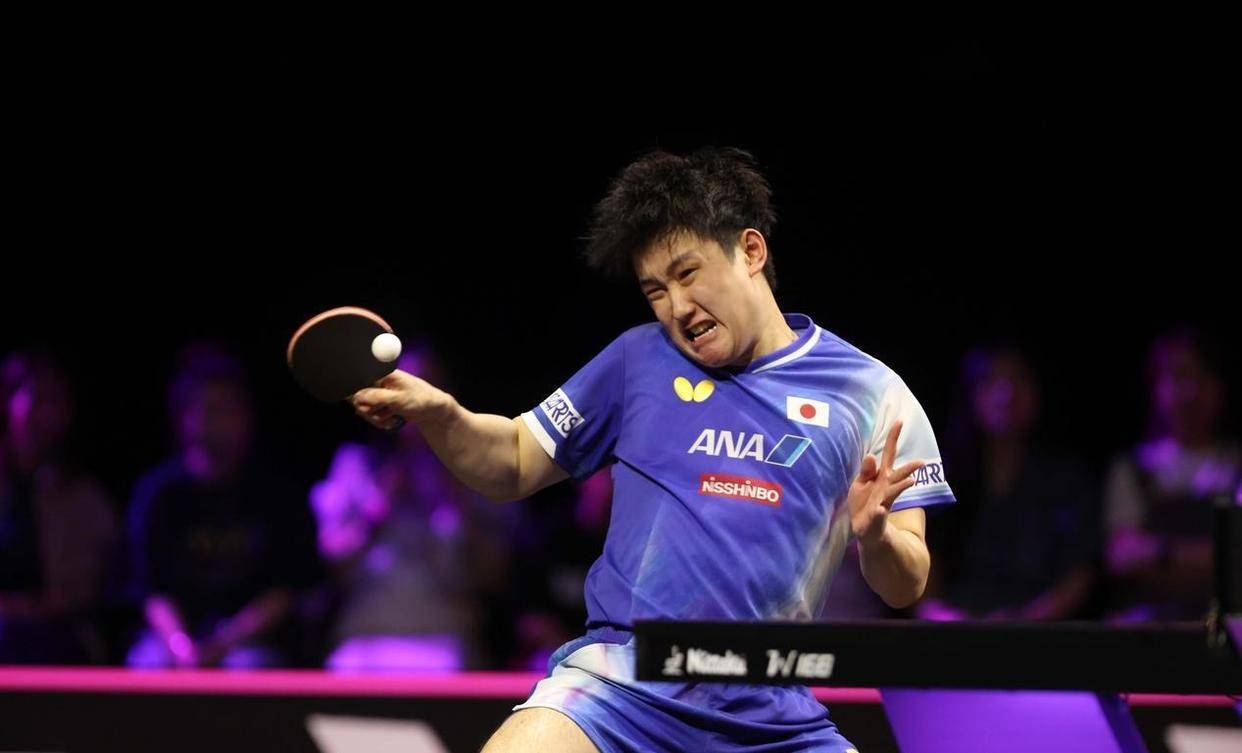 包含中国乒乓球队横扫法国乒乓球队，张本智和关键制胜的词条